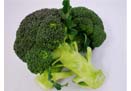 ブロッコリー