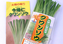 クワンソウ