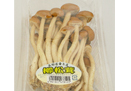 柳松茸