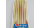 竹茗荷