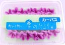 カーパス