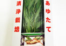 鮎蓼