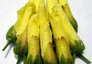花オクラ