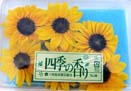 ひまわり（向日葵）